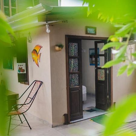 Recanto Mico Leao Bombinhas Exterior foto